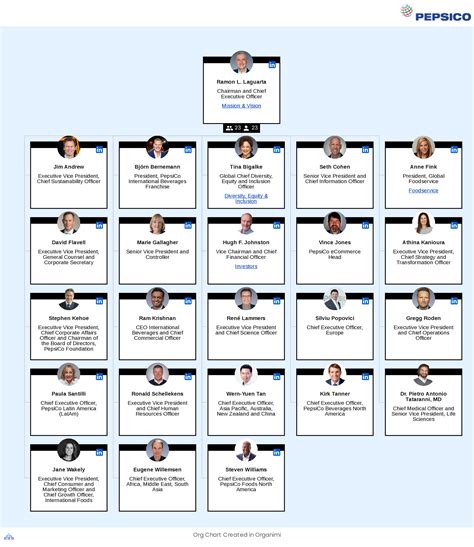 Organizational Chart Of Pepsi