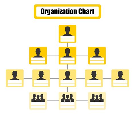 Organizational Chart Templates