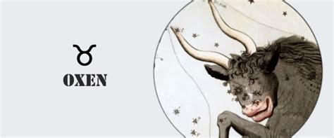 Oxens Dagliga Horoskop för Vägledning och Inspiration