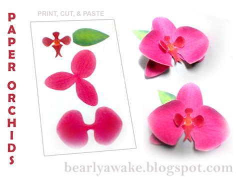 Paper Orchid Template