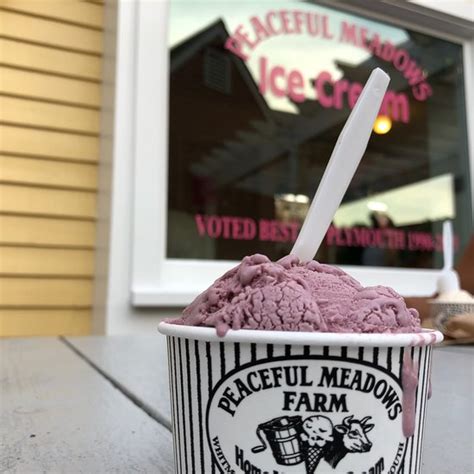 Peaceful Meadows Ice Cream Plymouth: A Sweet Treat for Your Taste Buds
