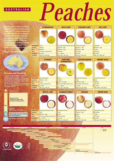 Peach Ripening Chart