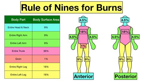 Pediatric Burn Chart
