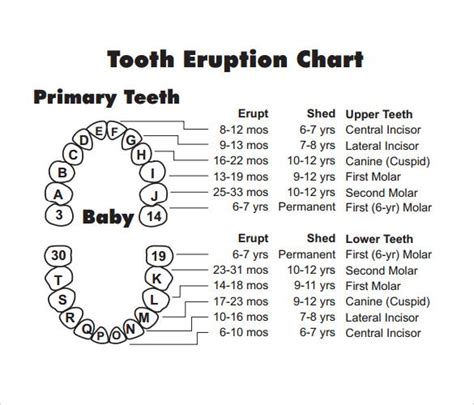 Pediatric Dental Chart Letters