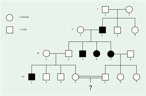Pedigree Chart Biology
