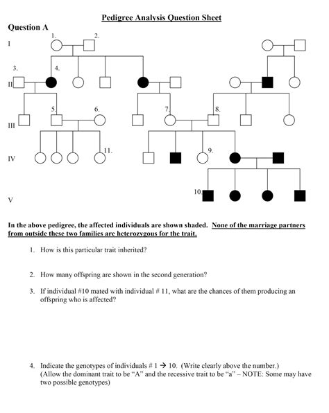 Pedigree Worksheet Answer Sheet B5c199f72e5db96f91419df23bd46c29 Ero Tel