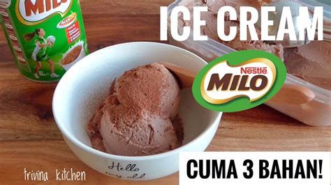 Pengalaman Kemewahan Membuat Es Krim dengan Ice Cream Maker 6 Quart