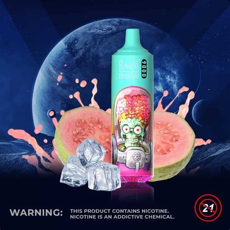 Penjelajahan Rasa Guava Ice Puff, Sensasi Dingin yang Menyegarkan