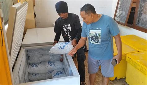 Penjualan Es Batu Makin Meningkat, Buruan Dapatkan Harga Ice Maker Murah di Sini!