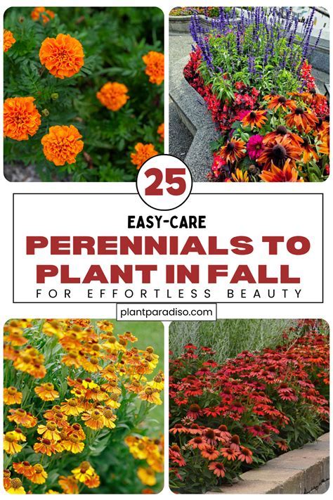 Perennials_request A Free Fall 2012 Catalog_sitelink