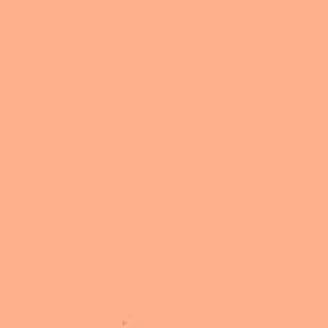 Persikan Väri: Tunteellinen Matka Inspiraatioon