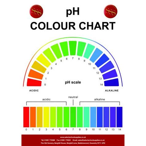 Ph Pool Color Chart