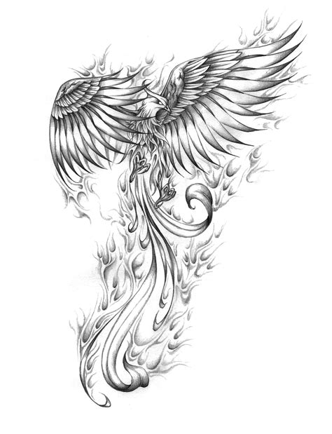 Phoenix Tattoo Template