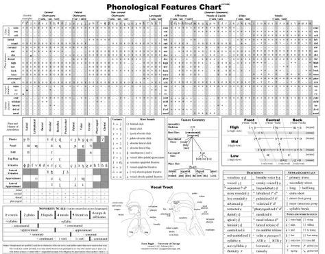 Phonological Features Chart
