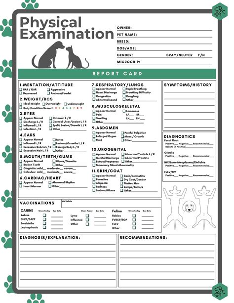 Physical Exam Template Veterinary