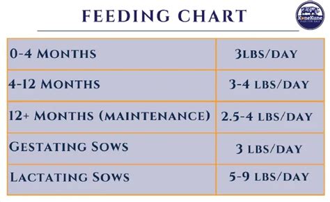 Pig Feeding Chart By Age