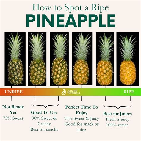Pineapple Ripe Chart