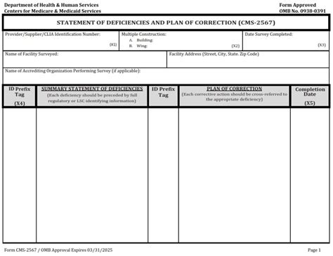 Plan Of Correction Template