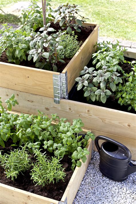 Planteringsshylla: Ett revolutionerande sätt att odla grönsaker och örter