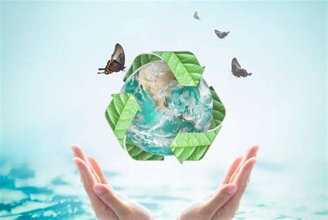 Plastiko: The Future of Sustainable Living