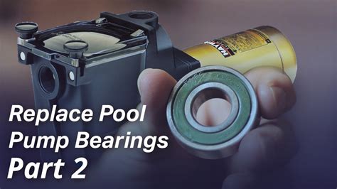 Pool Pump Bearings: The Unsung Heroes of Crystal-Clear Swimming Pools