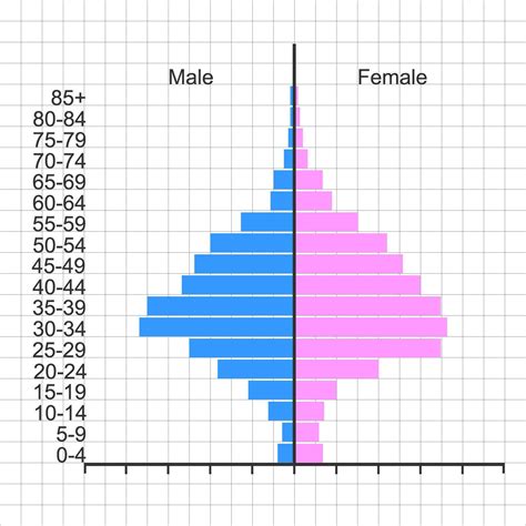 Population Pyramid Template