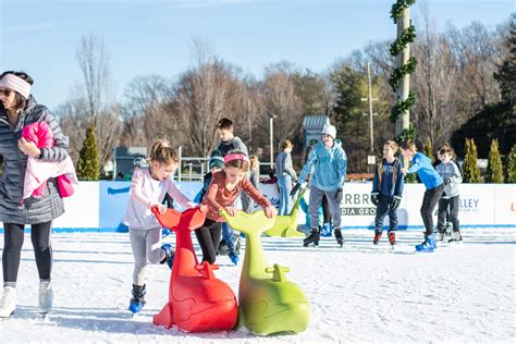 Portable Ice Rink: Your Ultimate Guide to Winter Fun