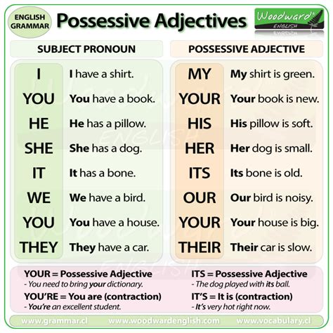 Possessive Adjectives Chart