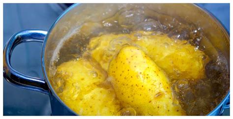 Potatis i tryckkokare: En guide för perfekta kokta potatis