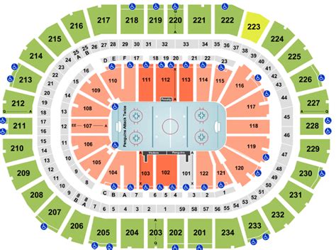 Ppg Paints Arena Seating Chart With Rows