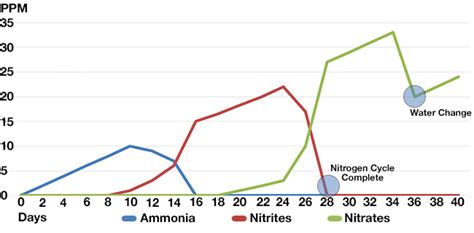 Ppm Aquarium Cycling Chart