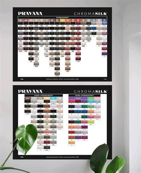 Pravana Chroma Silk Color Chart