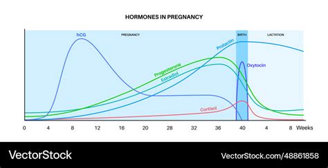 Pregnancy Hormone Level Chart