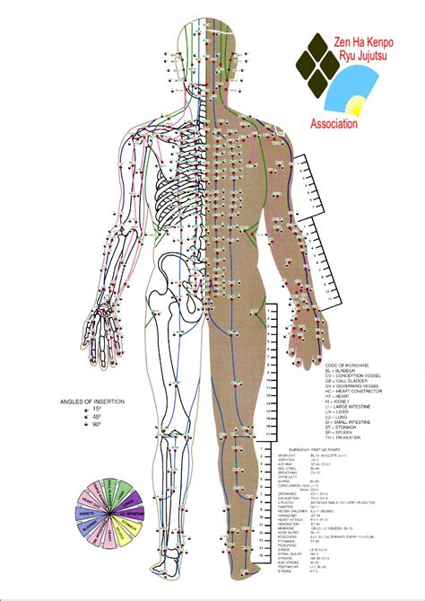 Pressure Points For Acupuncture Chart