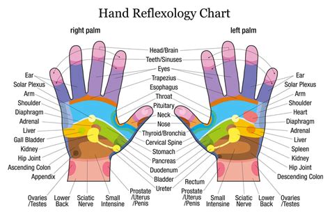 Pressure Points Of The Hand Chart