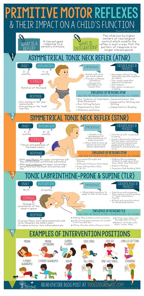 Primitive Reflexes Chart