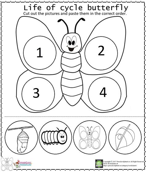 Printable Butterfly Cycle Worksheet