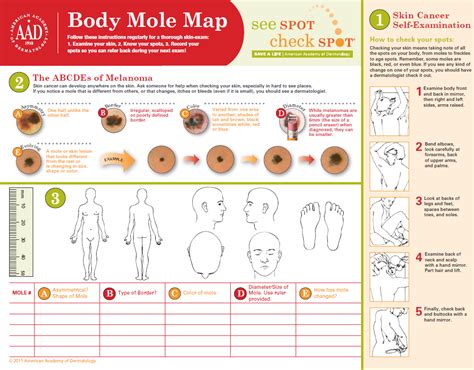 Printable Dermatology Body Map