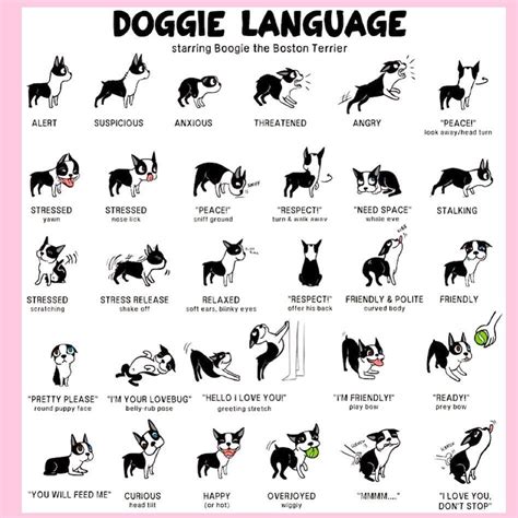 Printable Dog Body Language Chart