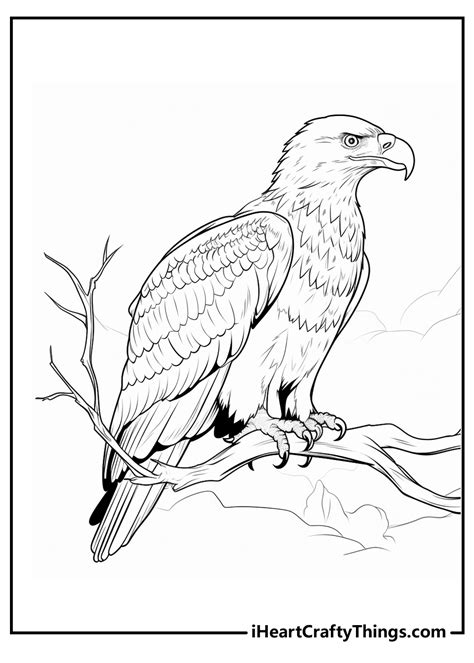 Printable Eagle Coloring Pages