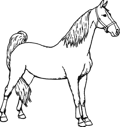 Printable Horse Coloring Pages Free