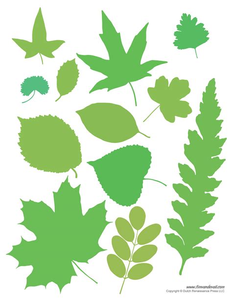 Printable Leaf Images