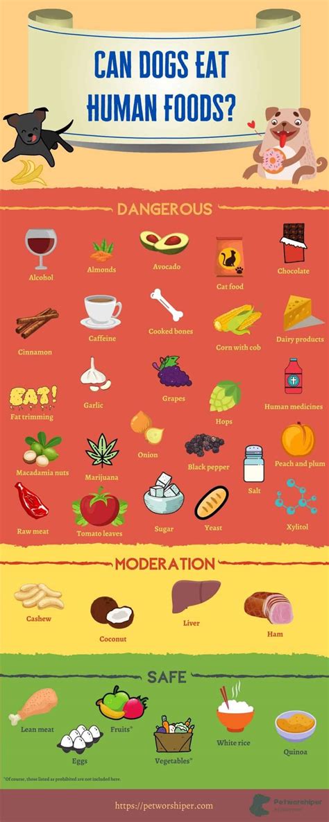 Printable List Of Foods Dogs Should Not Eat