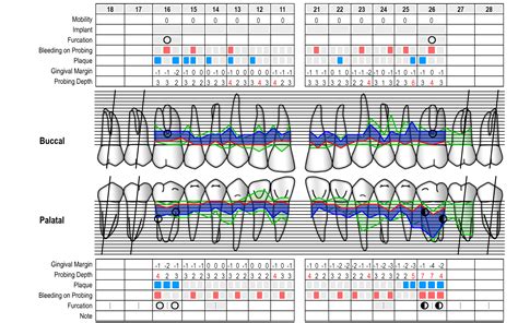 Printable Periodontal Chart