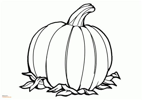 Printable Pumpkins To Color