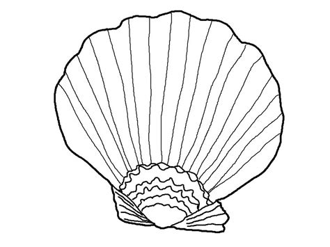 Printable Seashell Coloring Pages