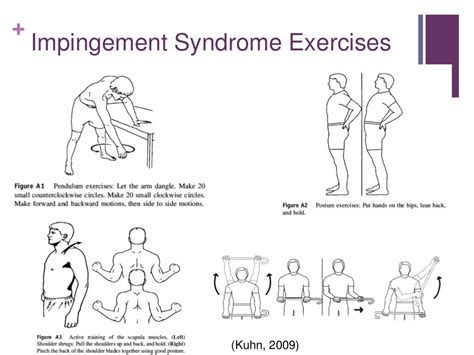Printable Shoulder Impingement Exercises