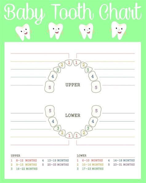 Printable Teething Chart