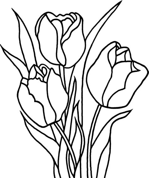 Printable Tulip Coloring Pages