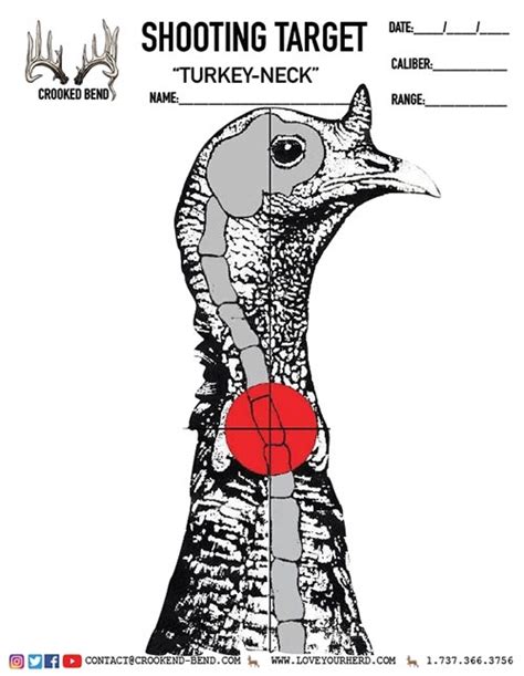 Printable Turkey Shooting Targets
